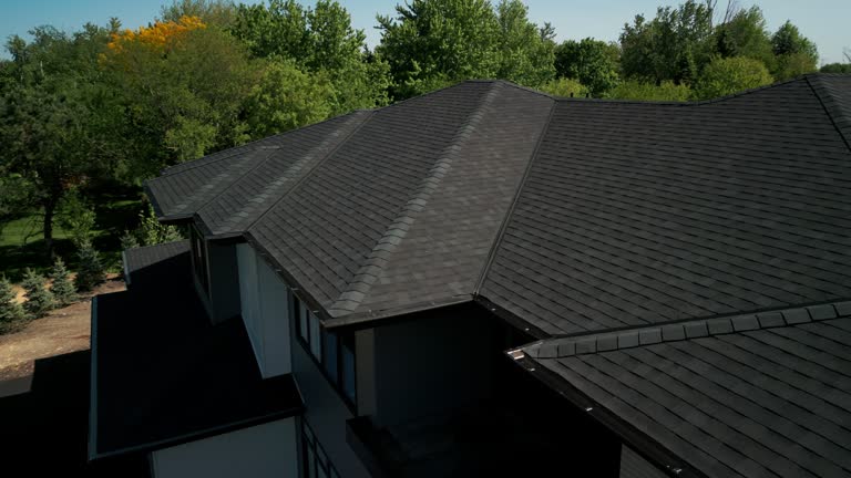 Best Skylight Installation and Repair  in Aurora, MN